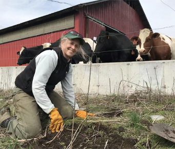One Hive