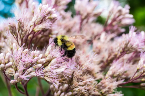 One Hive