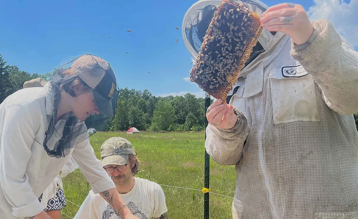 One Hive