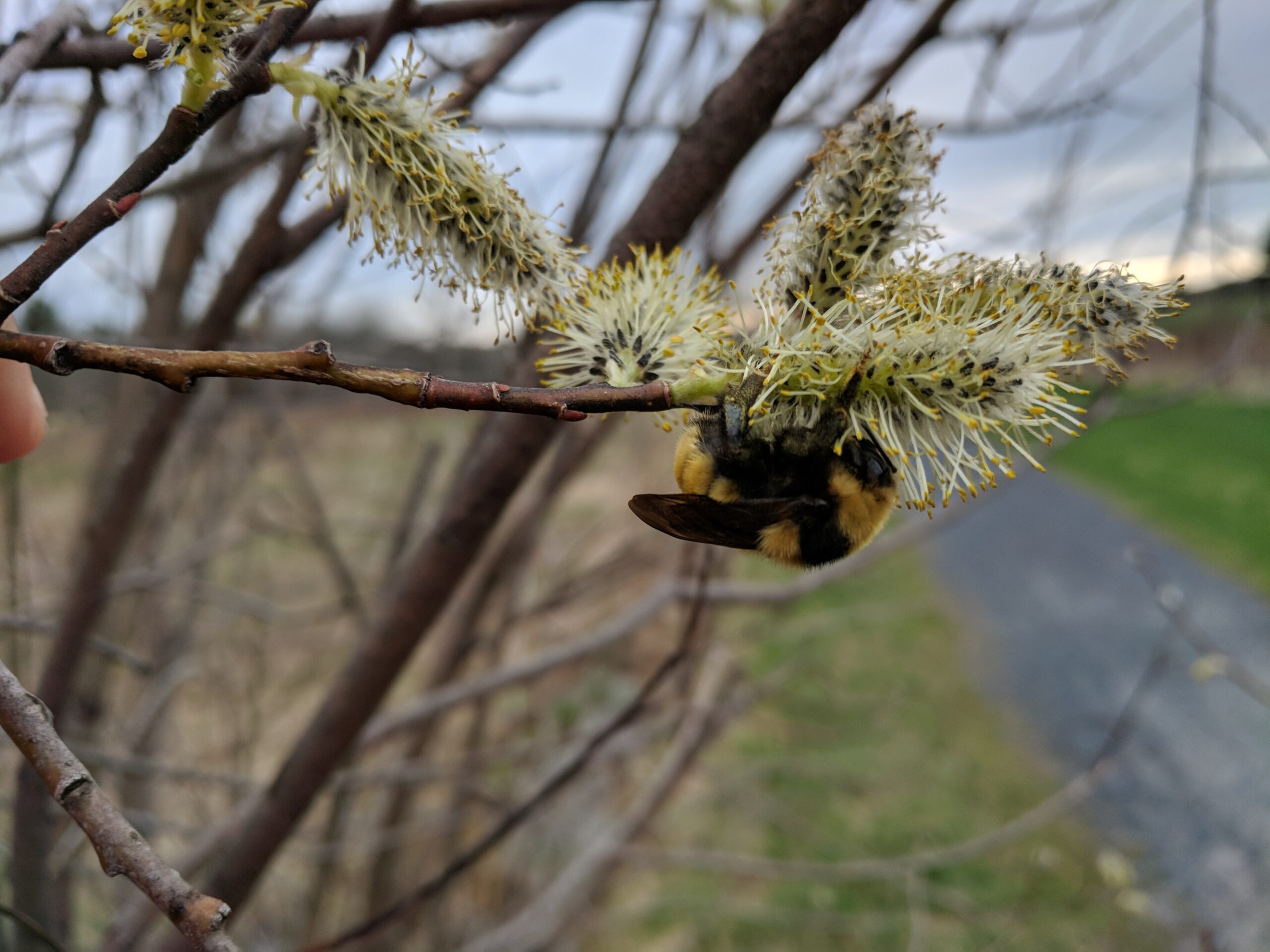 One Hive