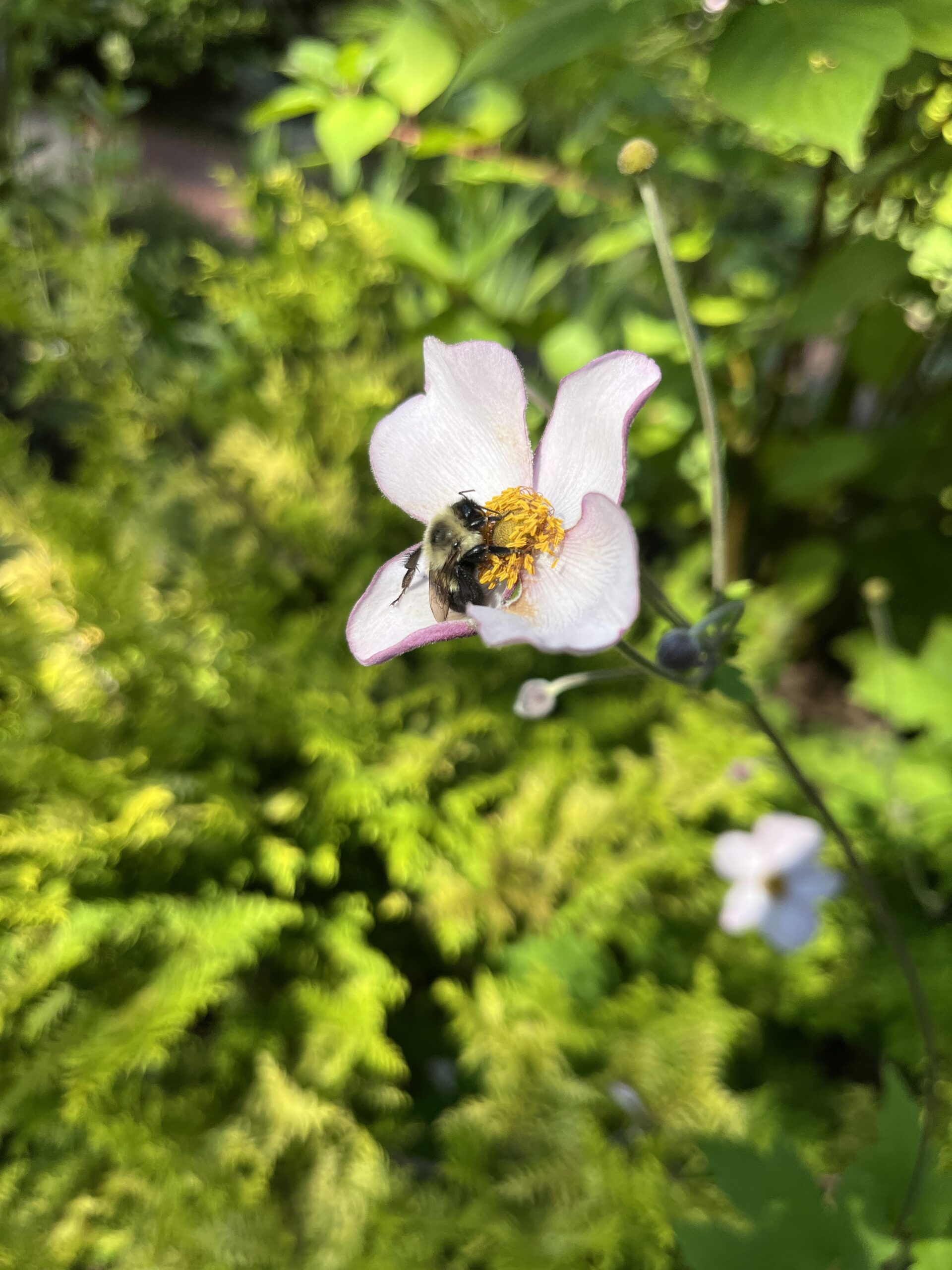 One Hive